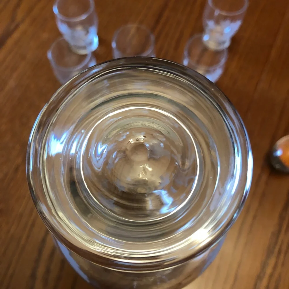 Vintage Clear Glass Etched Decanter and Six Shot Glasses